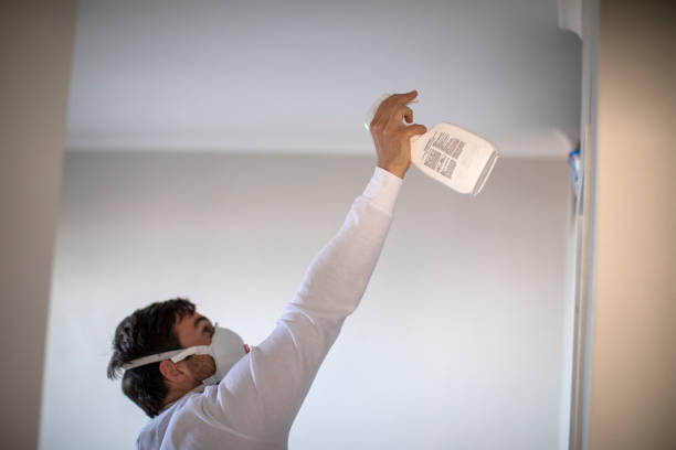 Best Mold Cleaning Services  in Cornelius, NC