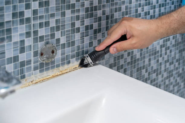 Best Mold Remediation Services  in Cornelius, NC