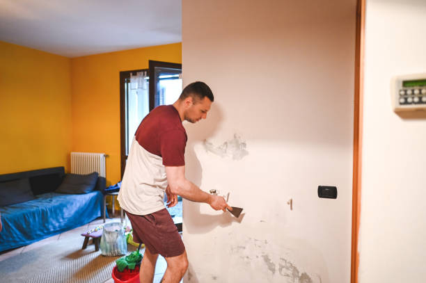 Best Affordable Mold Removal  in Cornelius, NC